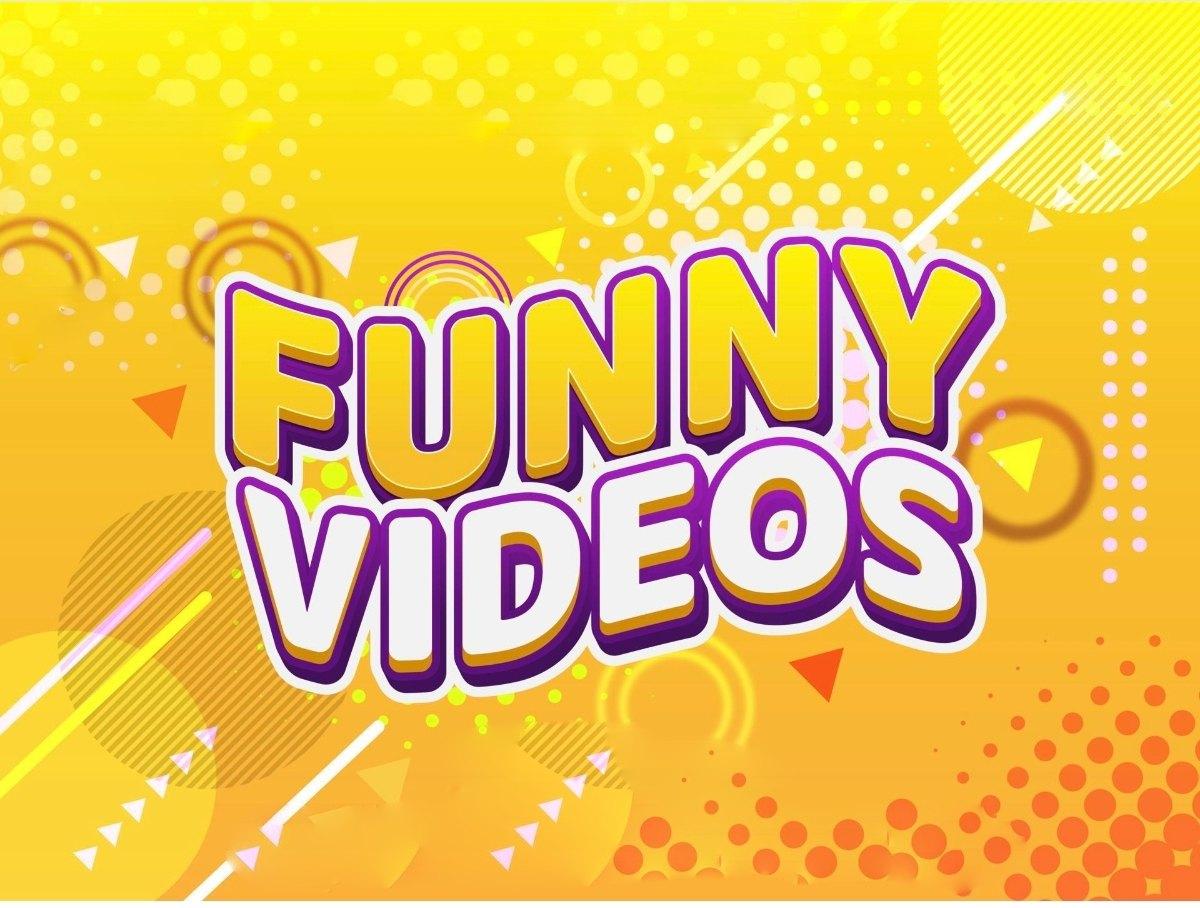 Funny Videos 